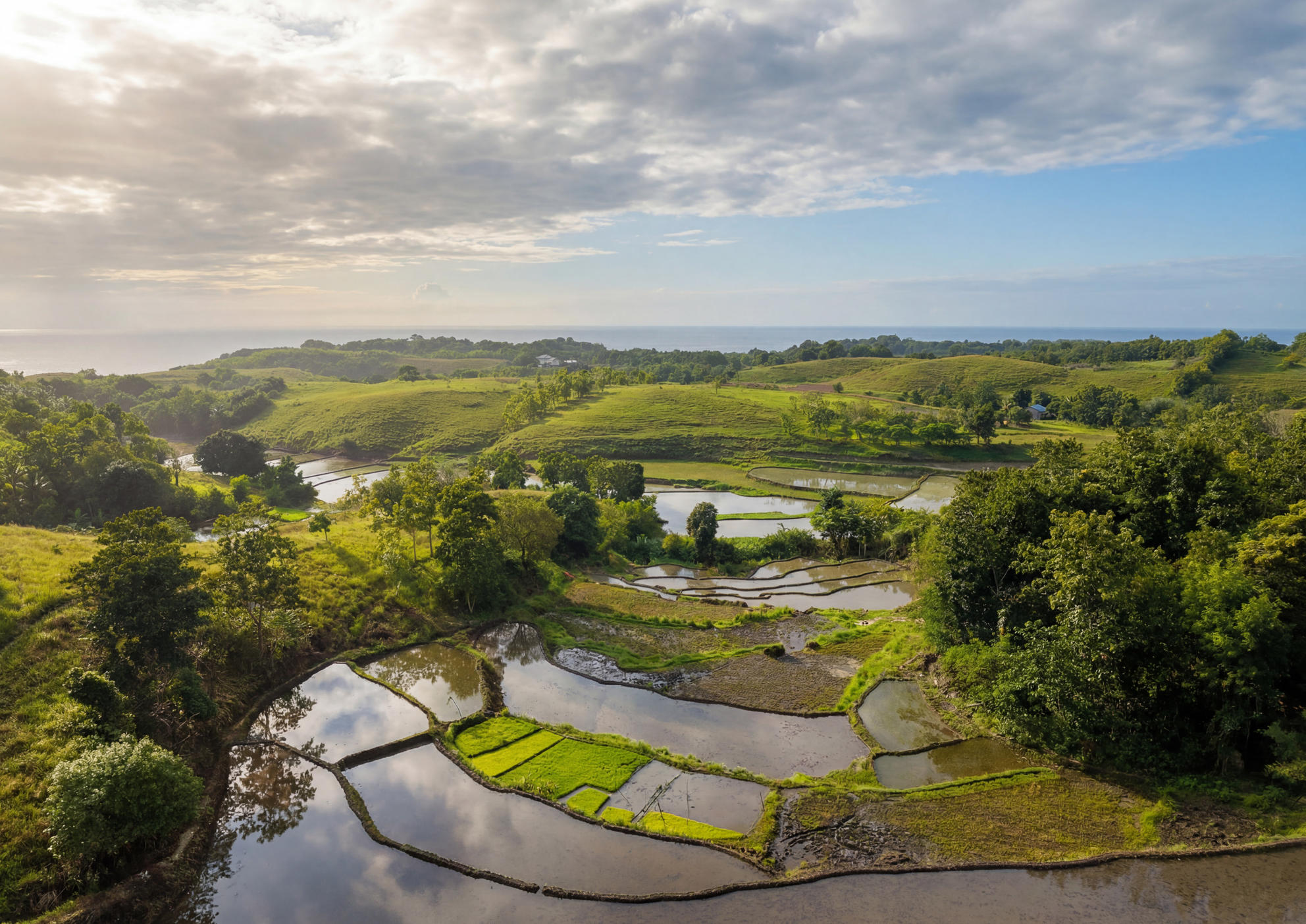 Verdant tropical valley contours
